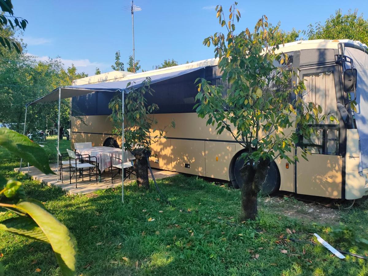 ホテル Terrebiobus Visnadello エクステリア 写真